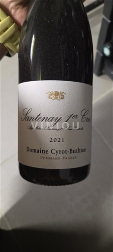 Bourgogne Ikke specificeret Premier Cru Domaine Cyrot-Buthiau 2021