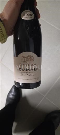 Burgundy Pommard Domaine Nis Carré Les Noizons 2020