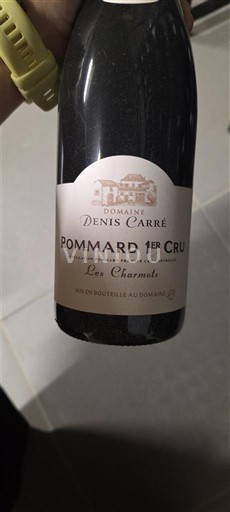 Bourgogne Ikke specificeret Premier Cru Domaine Nis Carré Les Charmots 2020