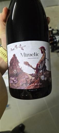 Aragon Calatayud Gallina de Piel Wines Mimetic 2019