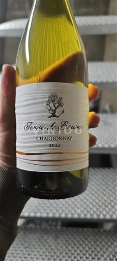 Linguadoca e Rossiglione Paese d'Oc Terre de Brume 2022