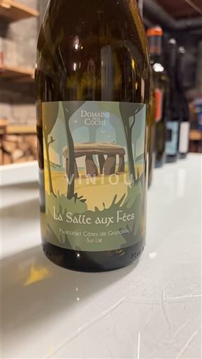 Thung lũng sông Loire Muscadet-côtes-de-grand-lieu Domaine La Coche La Salle aux Fées 2024