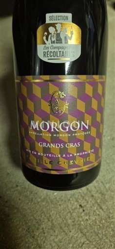 Beaujolais Morgon Domaine Gilles Crézé Grands Cras 2024