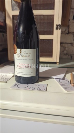 Loire-dalen Saumur-Champigny Domaine S Hauts de Sanziers des Drames 2022