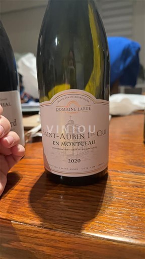Bourgogne Ikke specificeret Premier Cru Domaine Larue En Montceau 2020