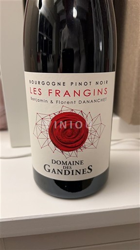 Bourgogne Ikke specificeret Domaine S Gandines Les Frangins 2022