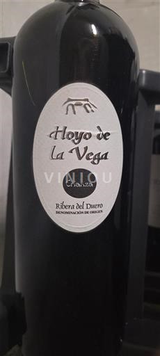 Castilien og León Ribera del Duero Hoyo de la Vega Crianza 2016