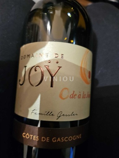 Sud-Ouest Côtes de Gascogne Domaine Joy Ode à la Joie Non Millésimé