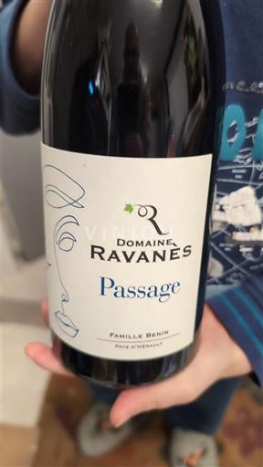 Linguadoca e Rossiglione Coteaux de Murviel Domaine Ravanès Passage 2021