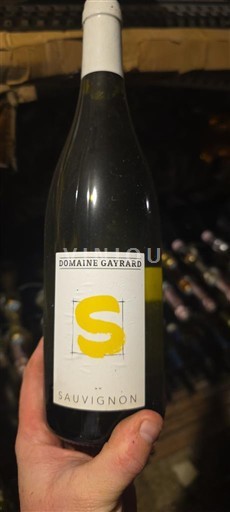 Sudoeste Côtes del Tarn Domaine Gayrard Sauvignon 2021