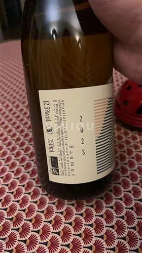 Loirevallei Saumur Leo Charruau Clos du moulin 2023