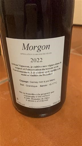 Beaujolais Morgon Domaine Earl Domaine de Thiez 2022