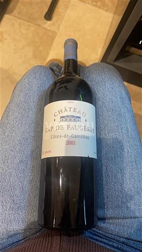 Bordéus Não especificado Château Cap de Faugères 2001