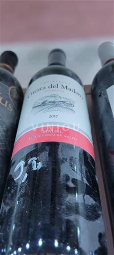 Mendoza Non specificato Bodega Cuesta del Madero 2017
