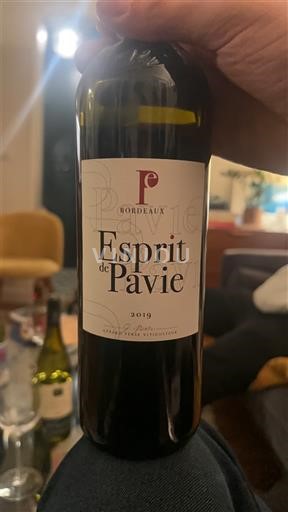 Bordeaux Esprit de Pavie 2019