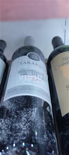 Thung lũng Maipo Maipo Central Tarapacá 2021