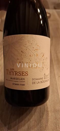 Provence, hạ lưu Rhône, Corse Địa Trung Hải Domaine La Bouvaude Les Thyrses 2023