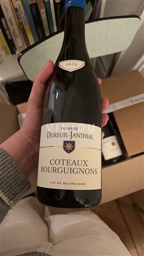 Bourgogne Coteaux bourguignons Domaine Reuil-Janthial 2023