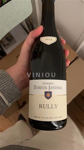 Bourgogne Rully Domaine Reuil-Janthial 2023