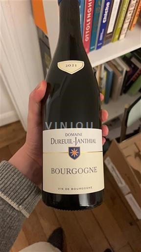 Borgonha Domaine Reuil-Janthial 2021