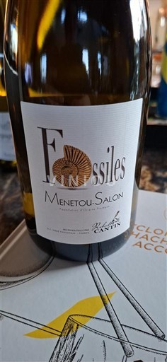 Dolina Loare Menetou-Salon Domaine Michel Cantin Fossiles 2024
