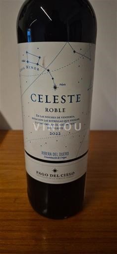 Castilien og León Ribera del Duero Pago del Cielo Celeste Roble 2022