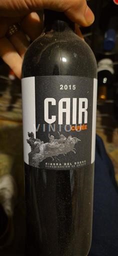 Castilien og León Ribera del Duero Bodegas Dominio de Cair 2015