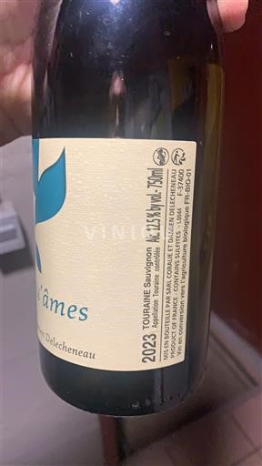 Valle della Loira Touraine Domaine Vincent Delesvaux L’envol des âmes 2023