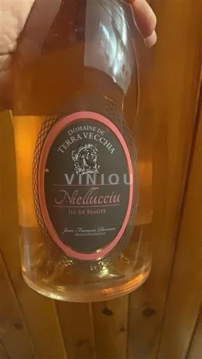 Corse Đảo sắc đẹp Terra Vecchia Niellucciu Không niên vụ