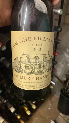 Vallée de la Loire Saumur-champigny Domaine Filliatreau 2002