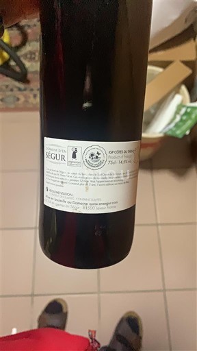 Bordeaux Côtes-de-bourg Château Le Puy de Ségur 2019