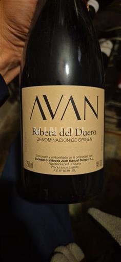 Castilië en León Ribera del Duero Bodegas y Viñedos Juan Manuel Burgos Avan 2021