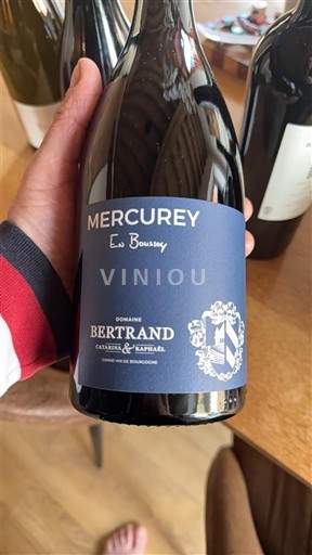 Borgogna Mercurey Domaine BERTAND Catarina & Raphaël En Boussoy 2023