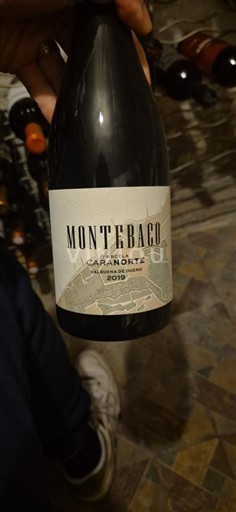 Castilië en León Ribera del Duero Montebaco Capanorte 2019