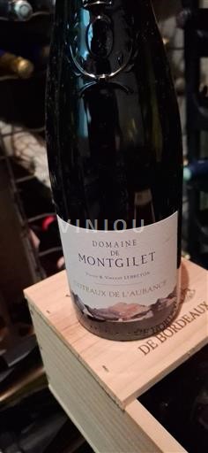 Thung lũng sông Loire Coteaux-de-l'aubance Domaine Montgilet 2020