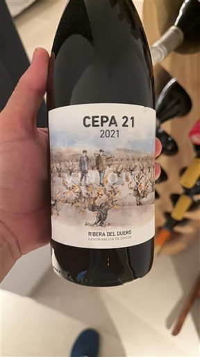 Castilla og León Ribera del Duero Cepa 21 2021