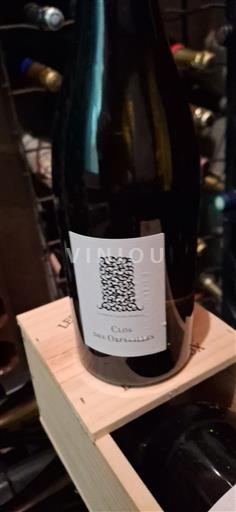 Valle della Loira Muscadet Sèvre et Maine Clos des Orfeuilles 2020