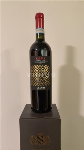 Vénétie Valpolicella Gerardo Cesari SPA Rajo 2017