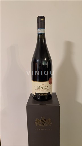 Vénétie Valpolicella Ripasso Gerardo Cesari SPA Superiore Mara 2018