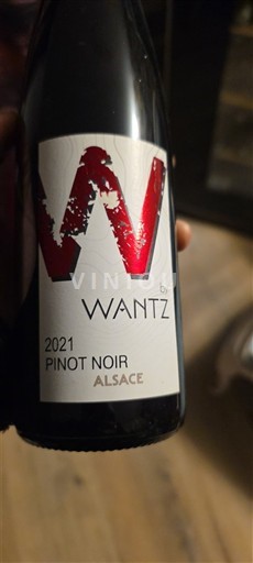 Alsace Wantz 2021