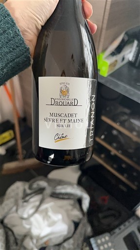 Valle della Loira Muscadet Sèvre et Maine Vignobles Drouard Trianon 2024