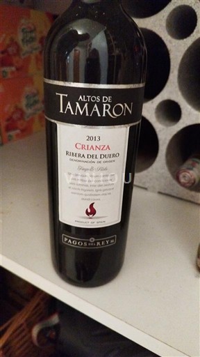 Castilien og León Ribera del Duero Altos de Tamaron Crianza 2013