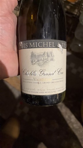Bourgogne Chablis Grand Cru Louis Michel & Fils Vaudésir 2008