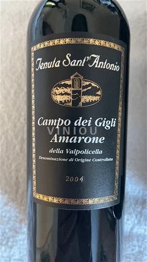 Vénétie Amarone della Valpolicella Tenuta Sant'Antonio Campo dei Gigli 2004