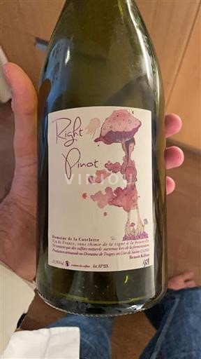 Bourgogne Domaine La côtelette Right Pinot Không niên vụ