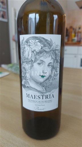 Tây Nam Pacherenc-du-vic-bilh Plainmont Maestria 2020