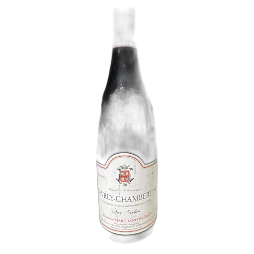 Burgundy Gevrey-Chambertin Domaine Marchand Frères Aux Etoelots 2019