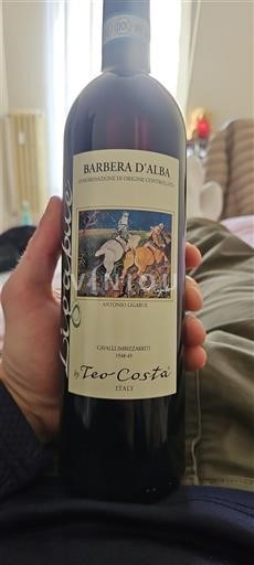 Piemont Barbera d'Alba Teo Costa Antonio Ligari 2024