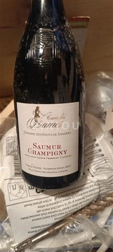 Loire-dalen Saumur-Champigny Domaine S Hauts de Sanziers des Dames Ikke årgangsbestemt