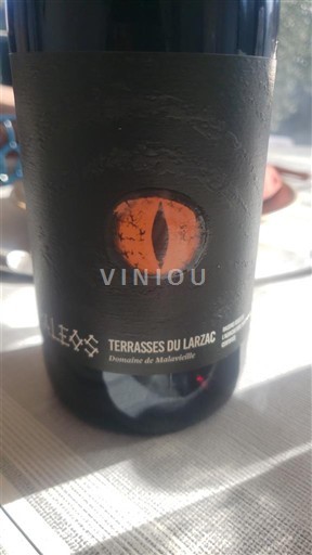 Langvedok Terrasses-du-Larzac Domaine Malavieille Les EYS 2022